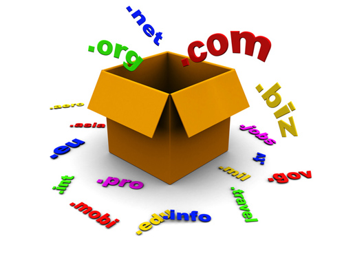 خبر شرح شراء دومين واستضافة مواقع بالتفصيل وبالصور  Domain and hosting